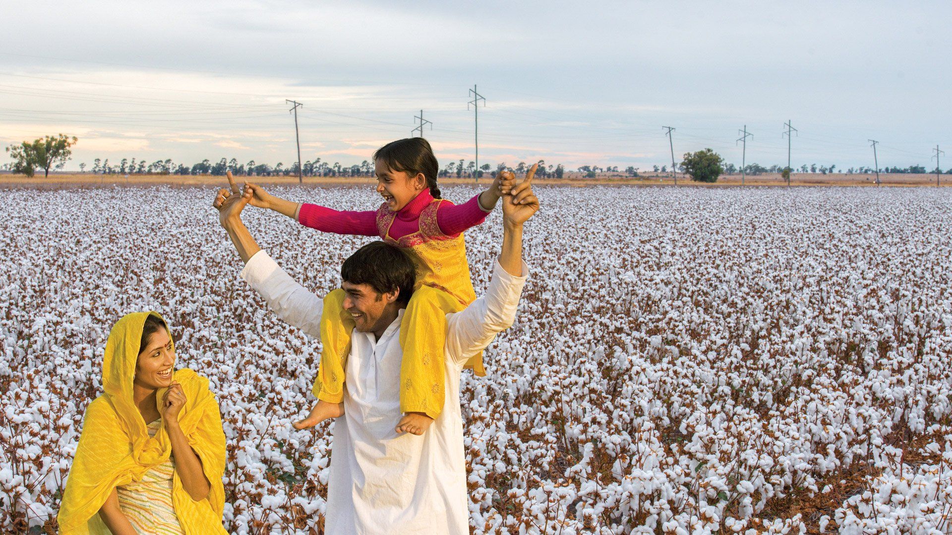 cotton-cpl-1